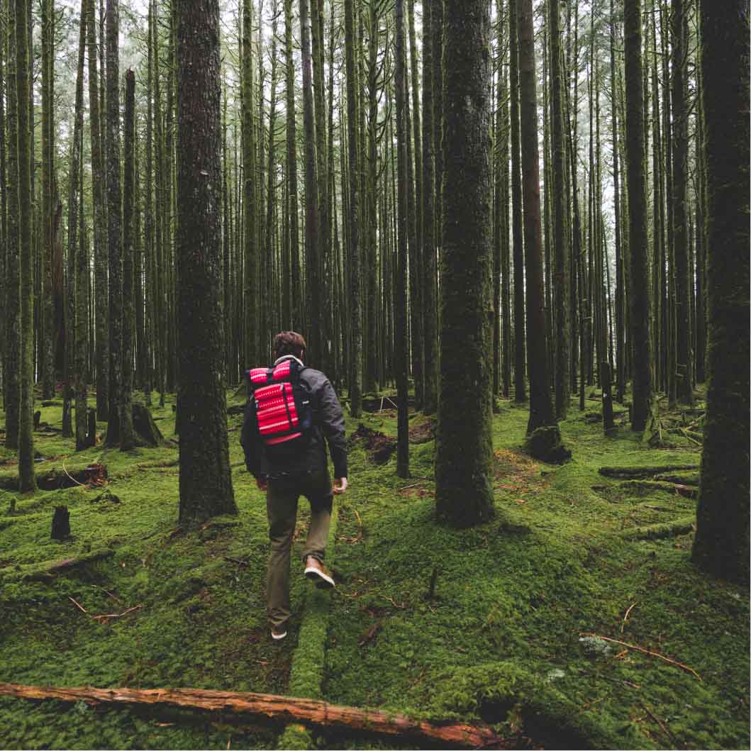 Raja 30 Roll-Top Backpack